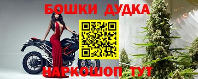 spice Обнинск