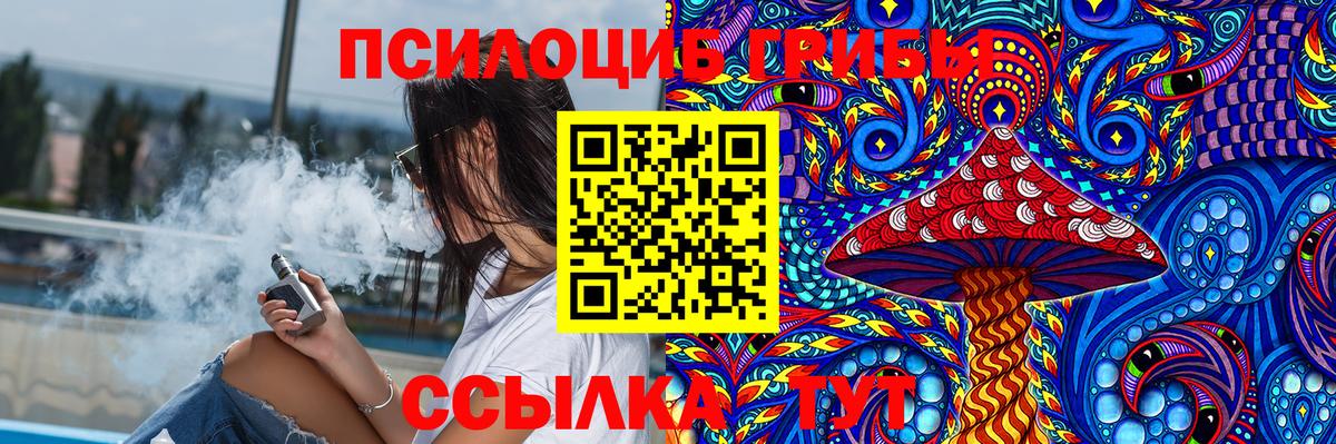Сегежа  Псилоцибиновые грибы Psilocybe  где продают   Вход с VPN 