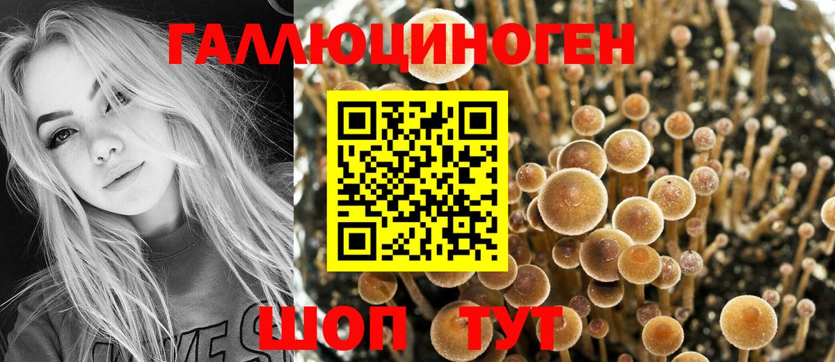 Галлюциногенные грибы MAGIC MUSHROOMS Сегежа